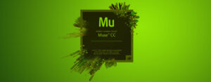 Responsive websites maken met Adobe Muse